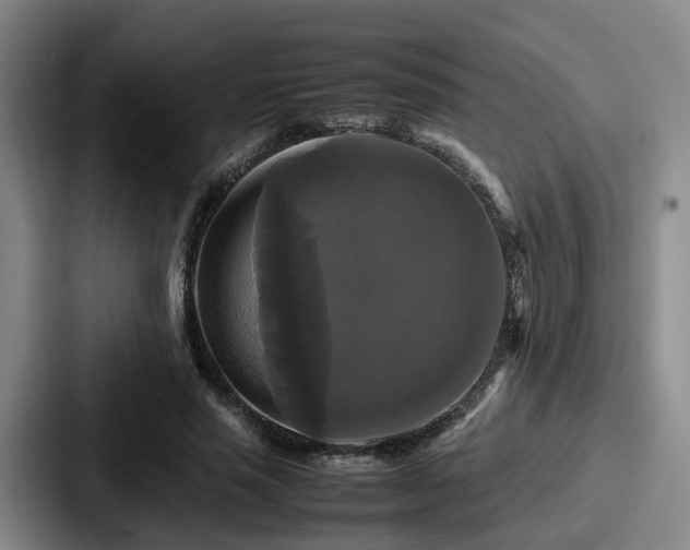 X0000087710637200705111422