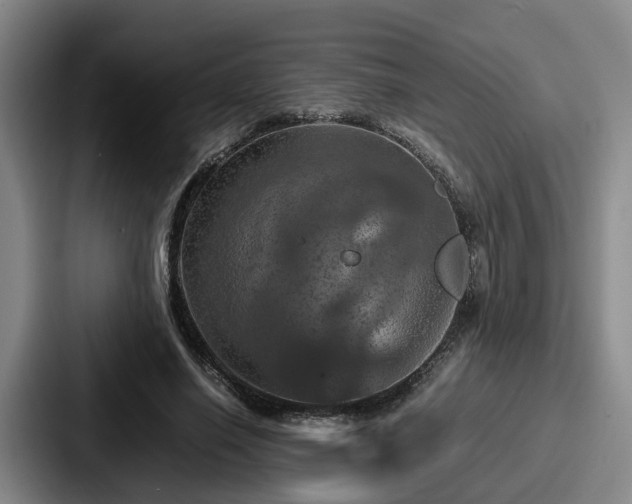 X0000087710638200705111422