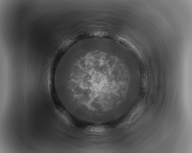 X0000087710639200705111422