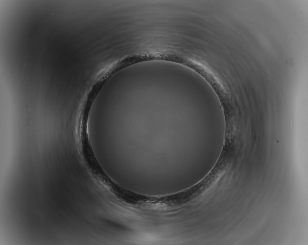 X0000087710640200705111422