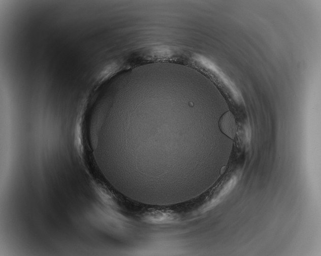 X0000087710642200705111422