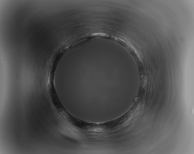 X0000087710643200705111422