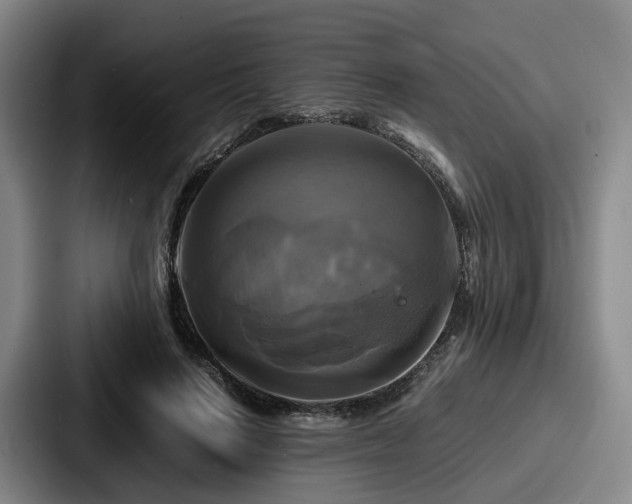 X0000087710644200705111422