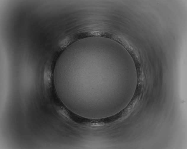 X0000087710646200705111422