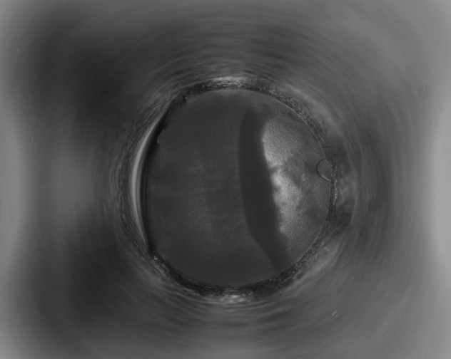 X0000087710647200705111422