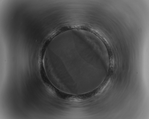 X0000087710648200705111422