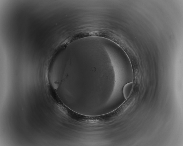 X0000087710650200705111422