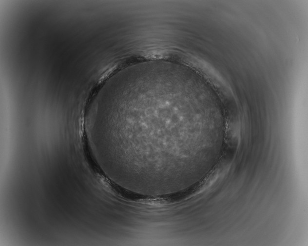 X0000087710652200705111422