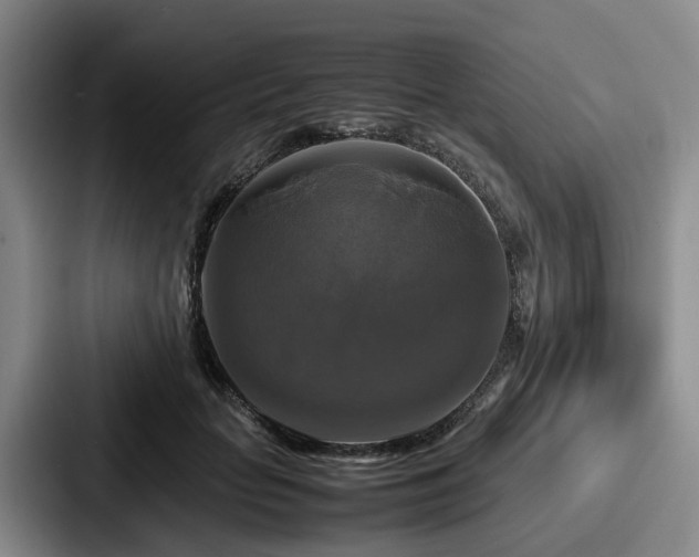 X0000087710653200705111422