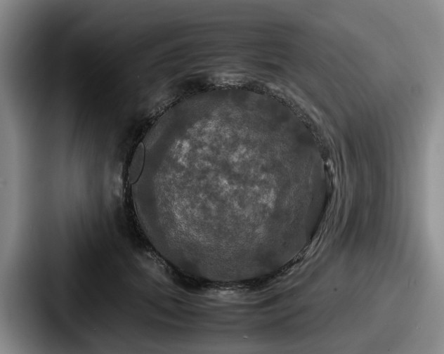 X0000087710655200705111422