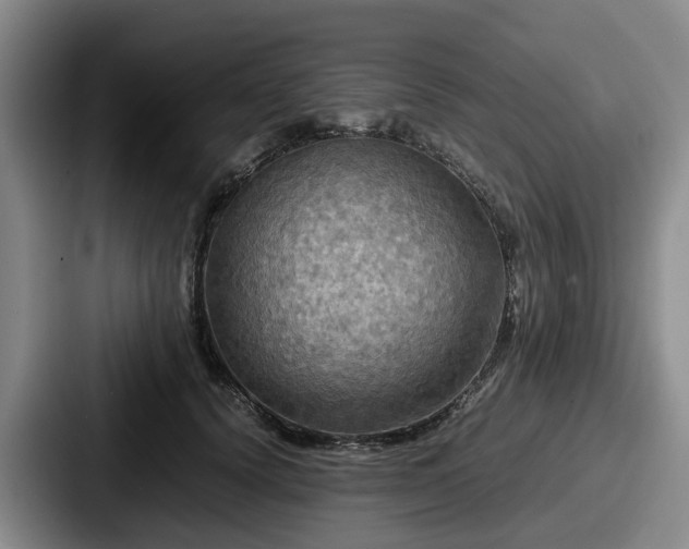 X0000087710656200705111422