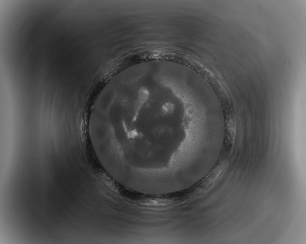 X0000087710657200705111422