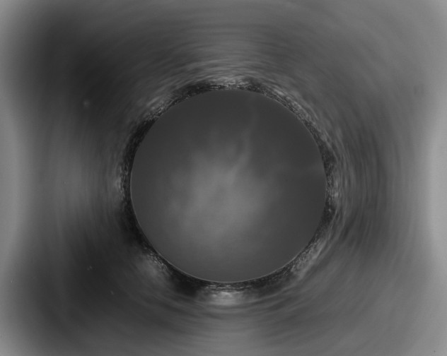 X0000087710658200705111422