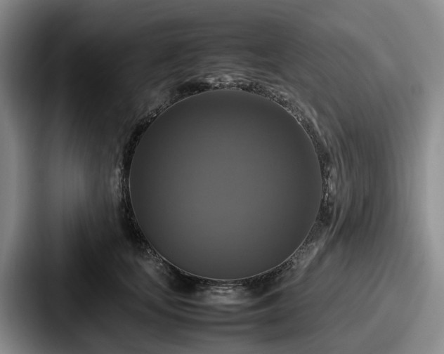 X0000087710659200705111422