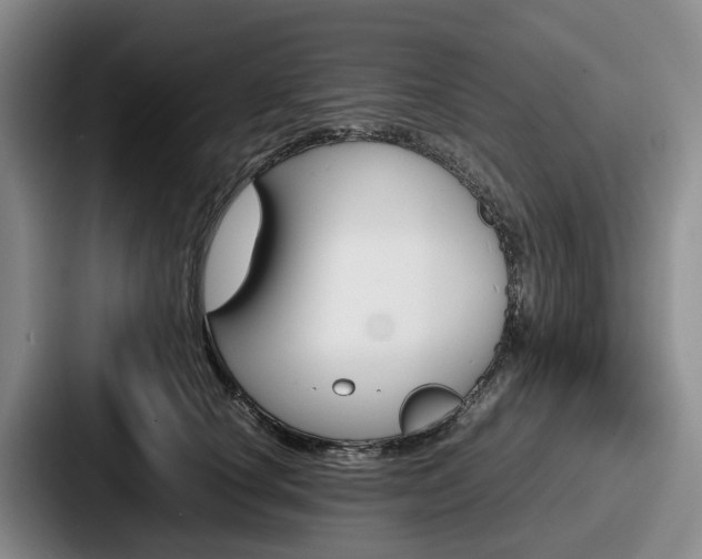 X0000087710660200705111422