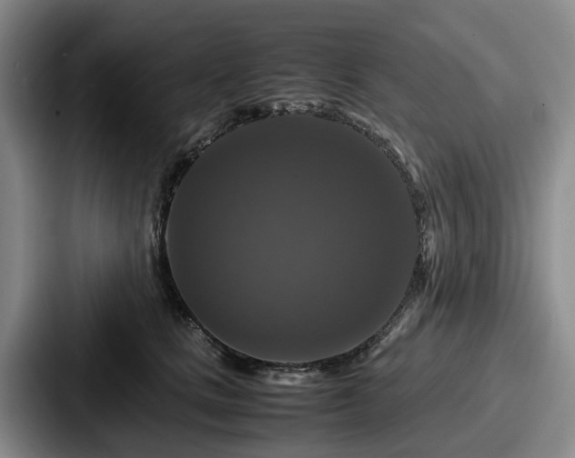 X0000087710661200705111422