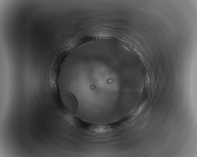 X0000087710663200705111422