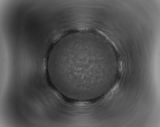 X0000087710664200705111422
