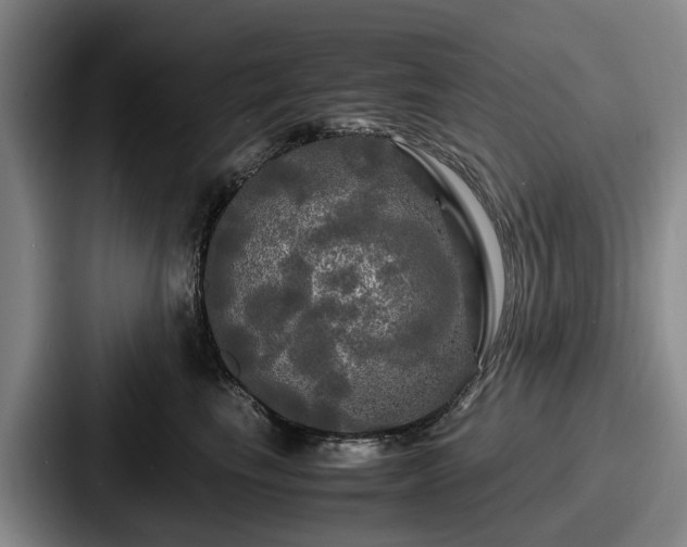 X0000087710665200705111422