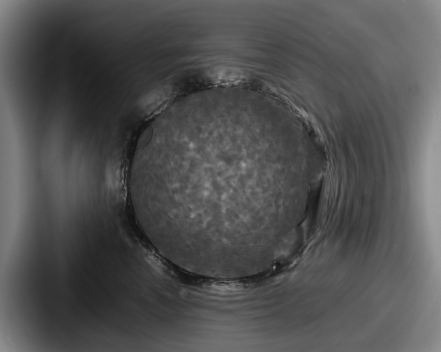 X0000087710666200705111422