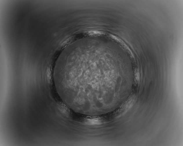 X0000087710667200705111422