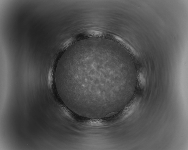 X0000087710668200705111422