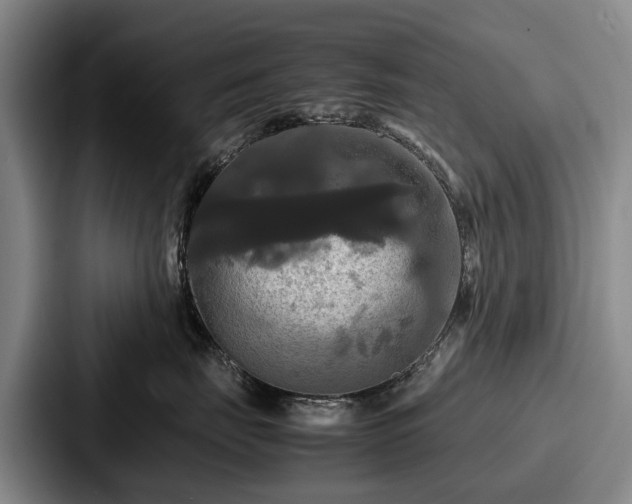 X0000087710671200705111422