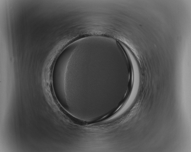 X0000087710673200705111421
