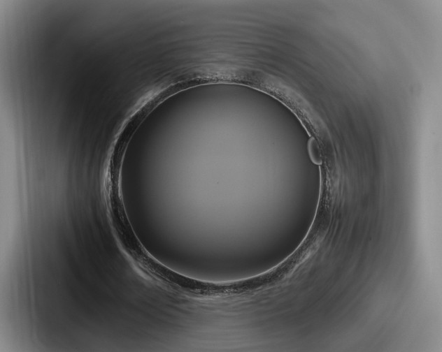 X0000087710674200705111421