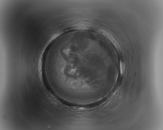 X0000087710675200705111421