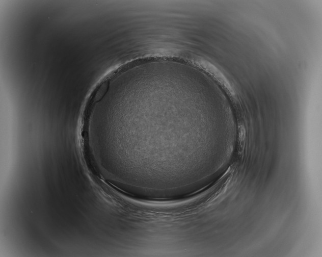 X0000087710676200705111421