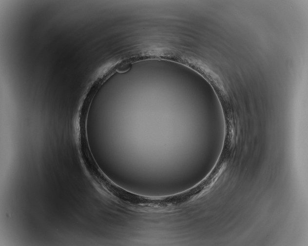X0000087710678200705111421