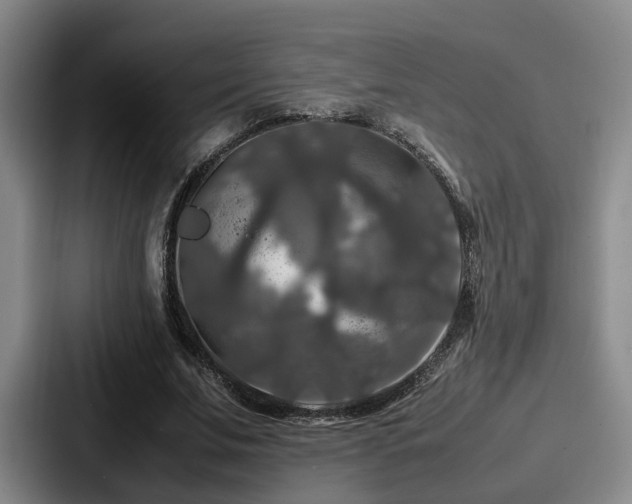 X0000087710679200705111421