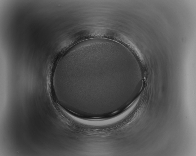 X0000087710681200705111421