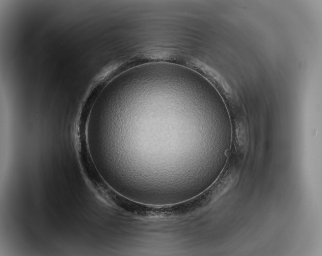 X0000087710682200705111421