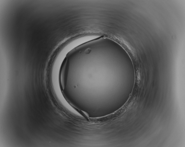 X0000087710684200705111421