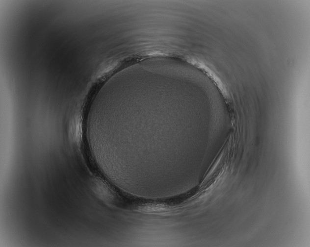 X0000087710685200705111421