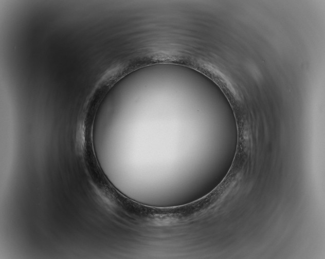 X0000087710686200705111421