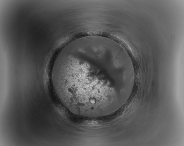 X0000087710687200705111421