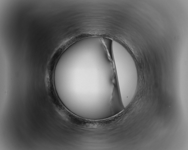 X0000087710688200705111421