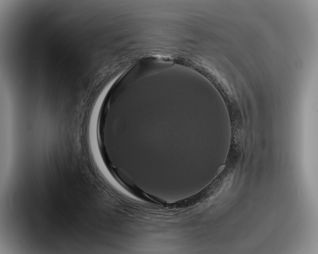 X0000087710689200705111421