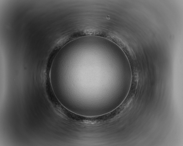 X0000087710690200705111421