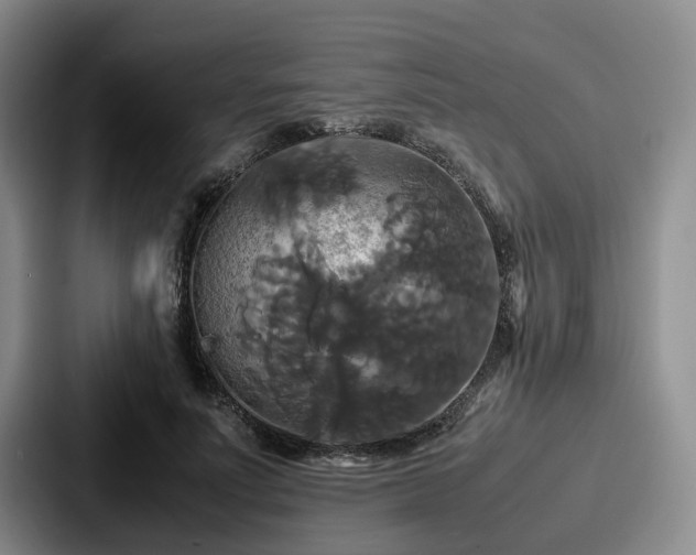 X0000087710691200705111421