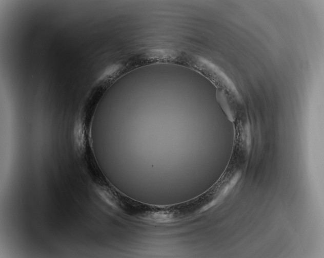 X0000087710692200705111421