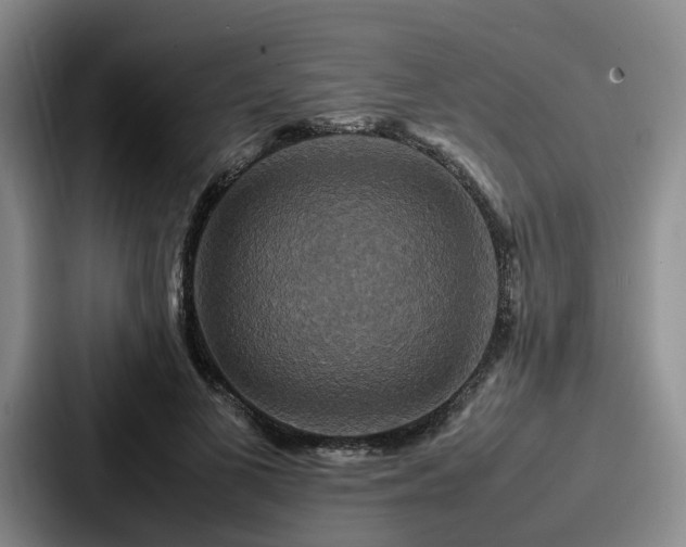 X0000087710693200705111421