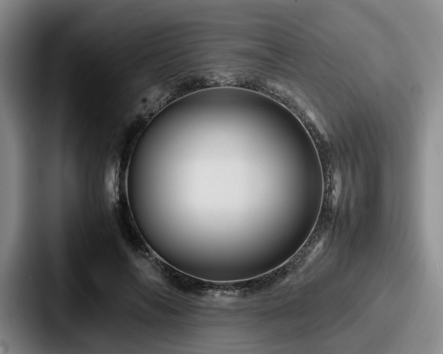 X0000087710694200705111421