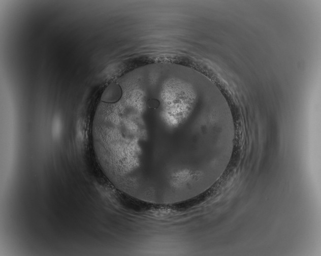 X0000087710695200705111421
