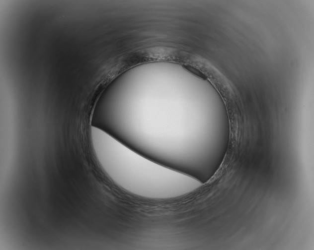 X0000087710696200705111421