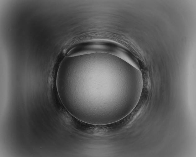X0000087710697200705111421
