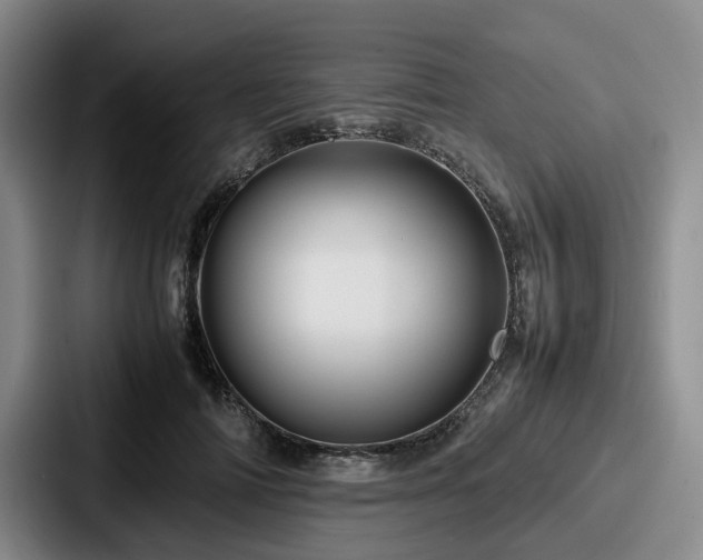 X0000087710698200705111421